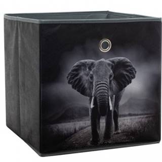 Úložný box Alfa, motív slon v divočine