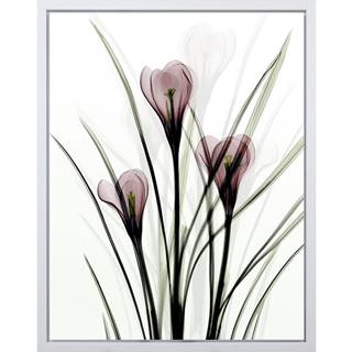 Monee UMELECKÁ TLAČ, kvety, 40/50 cm
