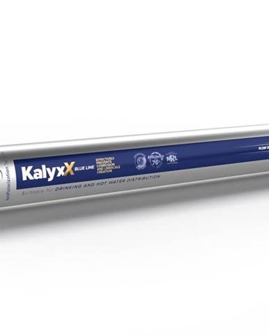 SAT IPS Kalyxx Blue Line G5/4"