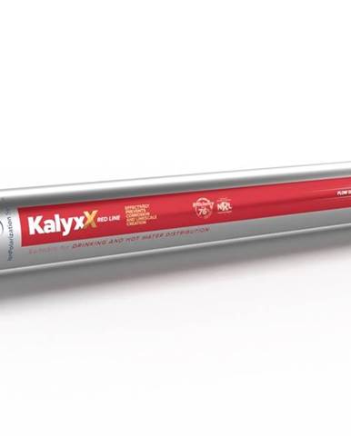 SAT IPS Kalyxx Red Line G6/4"