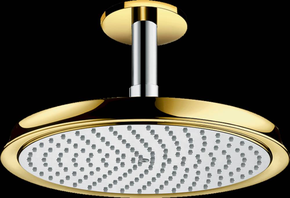 Hansgrohe Hlavová sprcha  Raindance Classic strop vrátane sprchového ramená chróm / vzhľad zlata, značky Hansgrohe