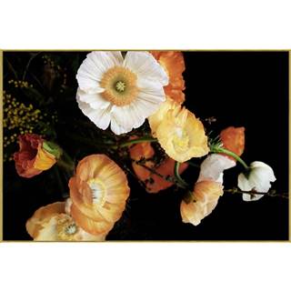 Monee SKLENENÝ OBRAZ, kvety, 120/80 cm