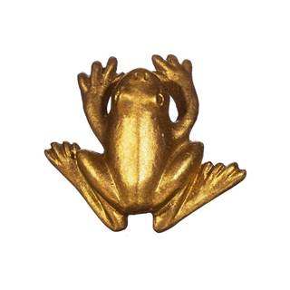 Sass & Belle Cínová úchytka na zásuvku v zlatej farbe  Frog, značky Sass & Belle