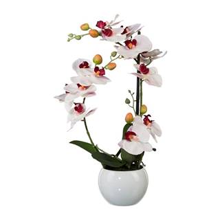Vilac Umelá Orchidea v keramickom kvetináči biela, 42 cm 1118033-10, značky Vilac