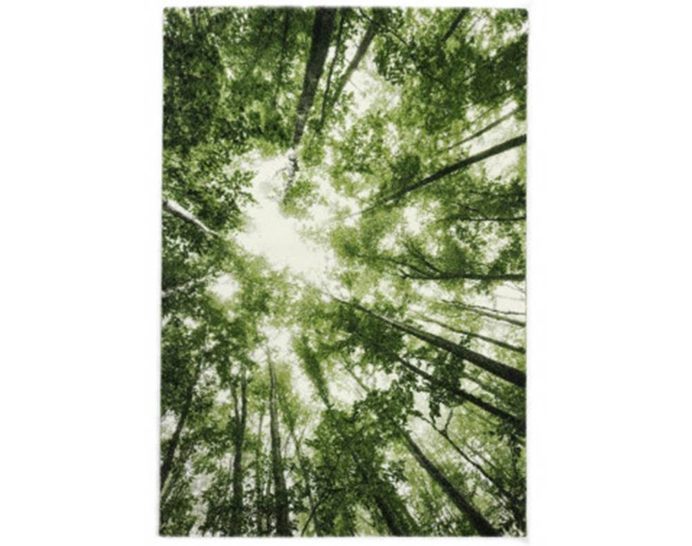 ASKO - NÁBYTOK Koberec Belis 120x170 cm, zelený les, značky ASKO - NÁBYTOK
