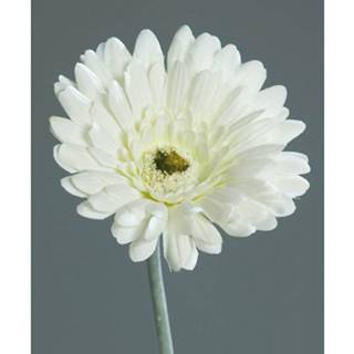 Umelá kvetina Gerbera 56 cm, krémová