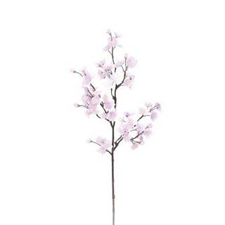 Koziol Umelá kvitnúca čerešňová vetva, 78 cm, značky Koziol