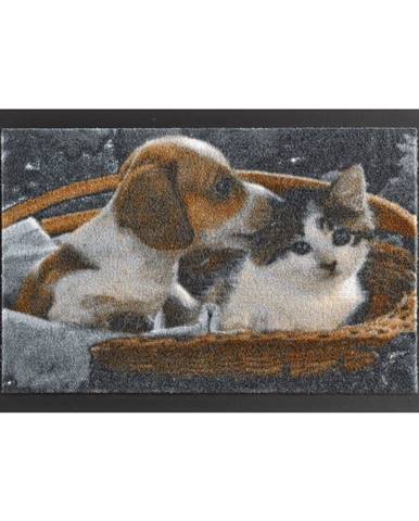 Rohožka Hanse Home Animals Dog and Cat, 40 x 60 cm