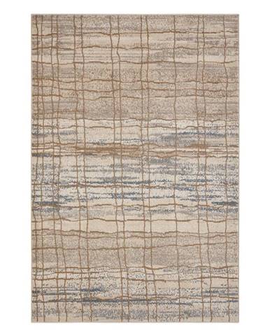 Béžový koberec 170x120 cm Terrain - Hanse Home