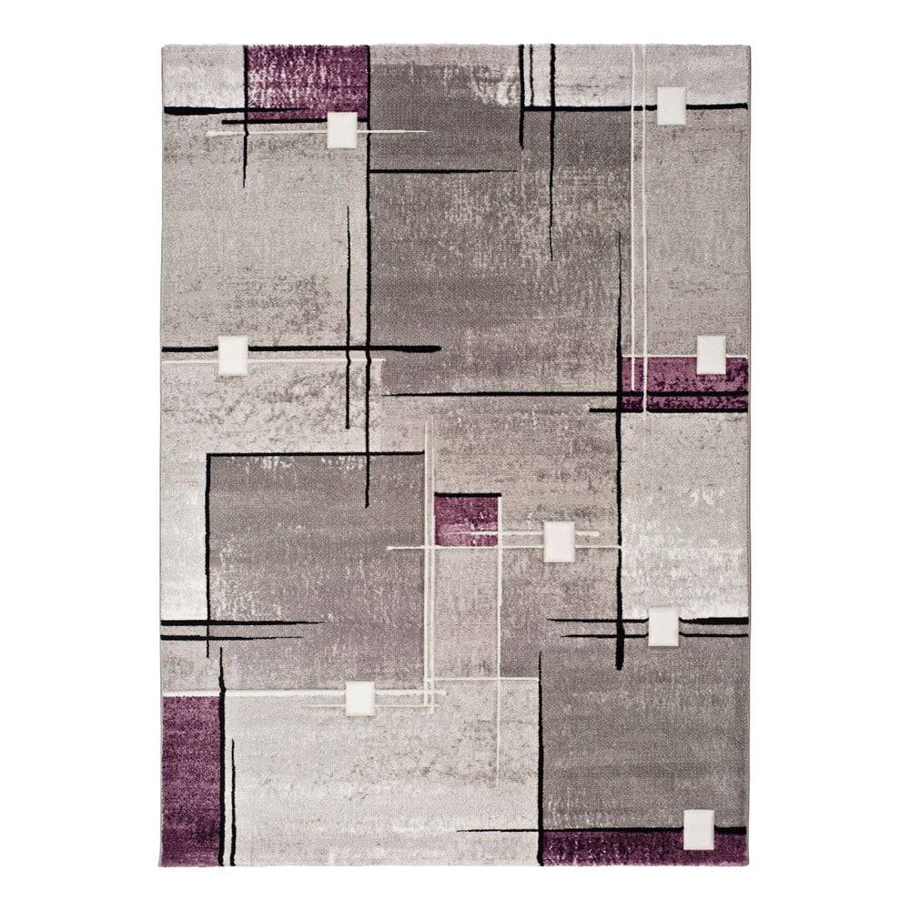 Universal Sivofialový koberec  Detroit, 120 × 170 cm, značky Universal