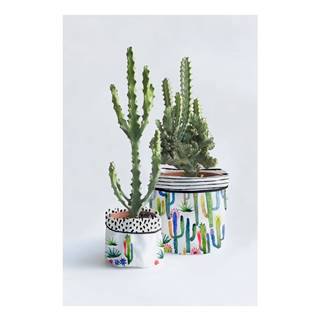 Surdic Súprava 2 textilných kvetináčov  Watercolor Cactus, značky Surdic