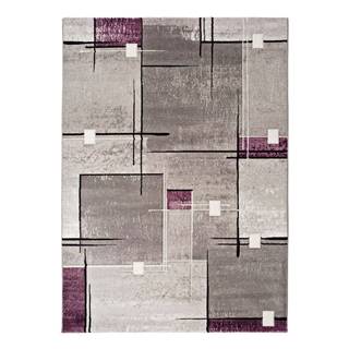 Universal Sivo-fialový koberec  Detroit, 140 x 200 cm, značky Universal